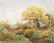 Greenfield Moor - 亨利·约翰·西尔维斯特·斯坦纳德